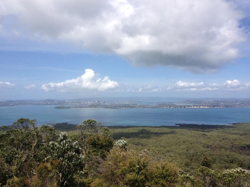 Landscape with lush jungle in the foreground, blue sea in the distance, and a city on the opposite shore further away.jpg
