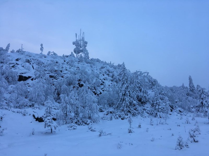 Snow-covered landscape with snow-covered trees, blue-white sky, and a snow-covered radio tower on the horizon.jpg